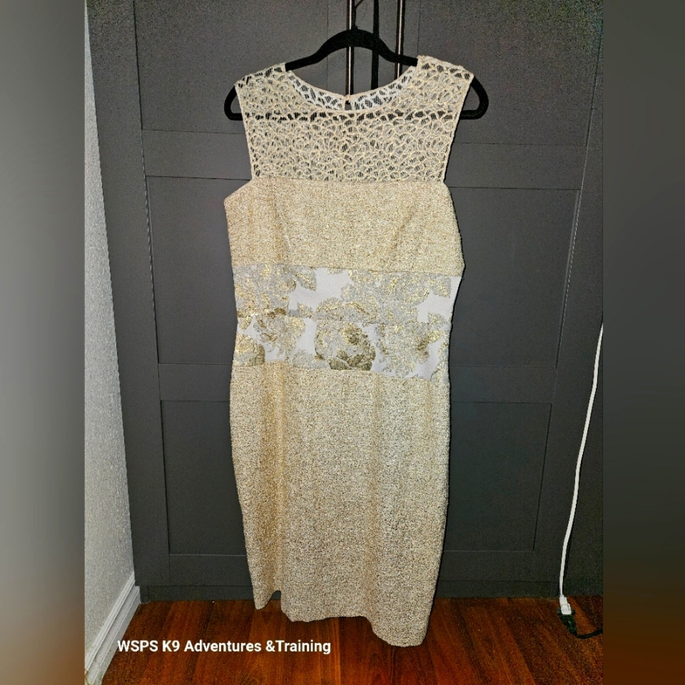 Teri Jon Dress